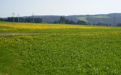 Auf dem Galgenberg