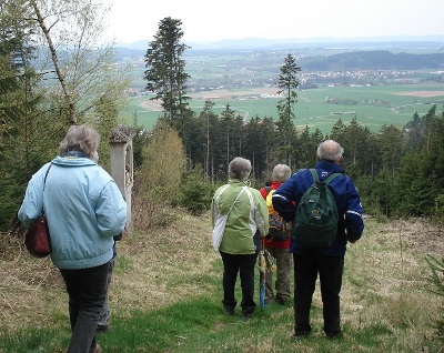 Ausblick