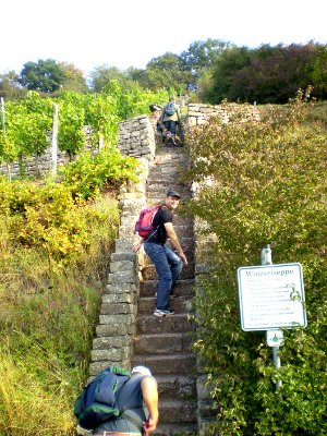 Winzertreppe