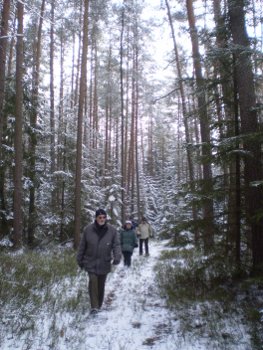 Winterwald