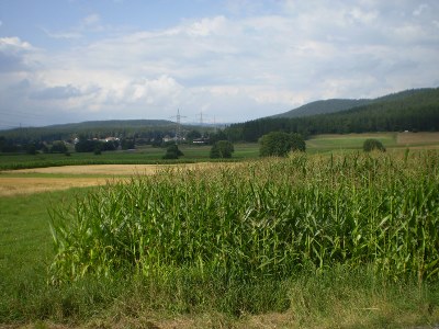 Kaltenbrunn