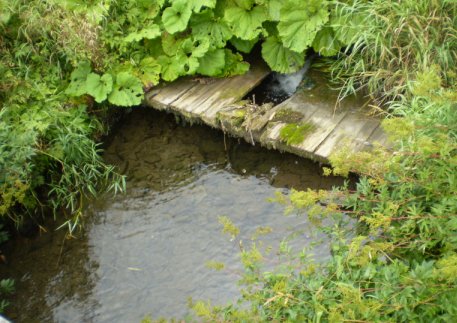Wehr