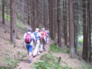 Bachlauf