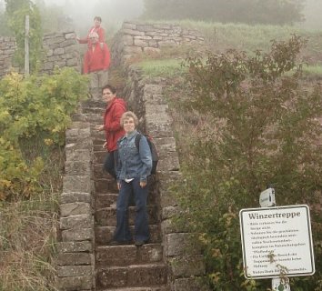 Winzertreppe
