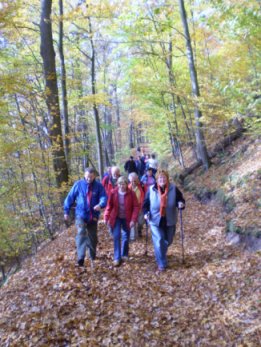 Laubwald