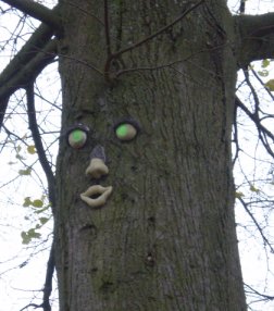 Baumschrat