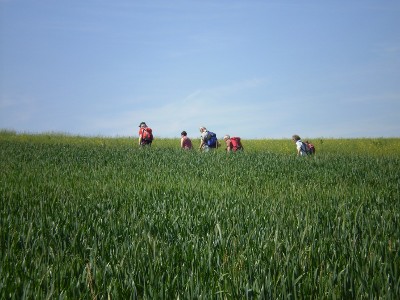 Hohnhausen